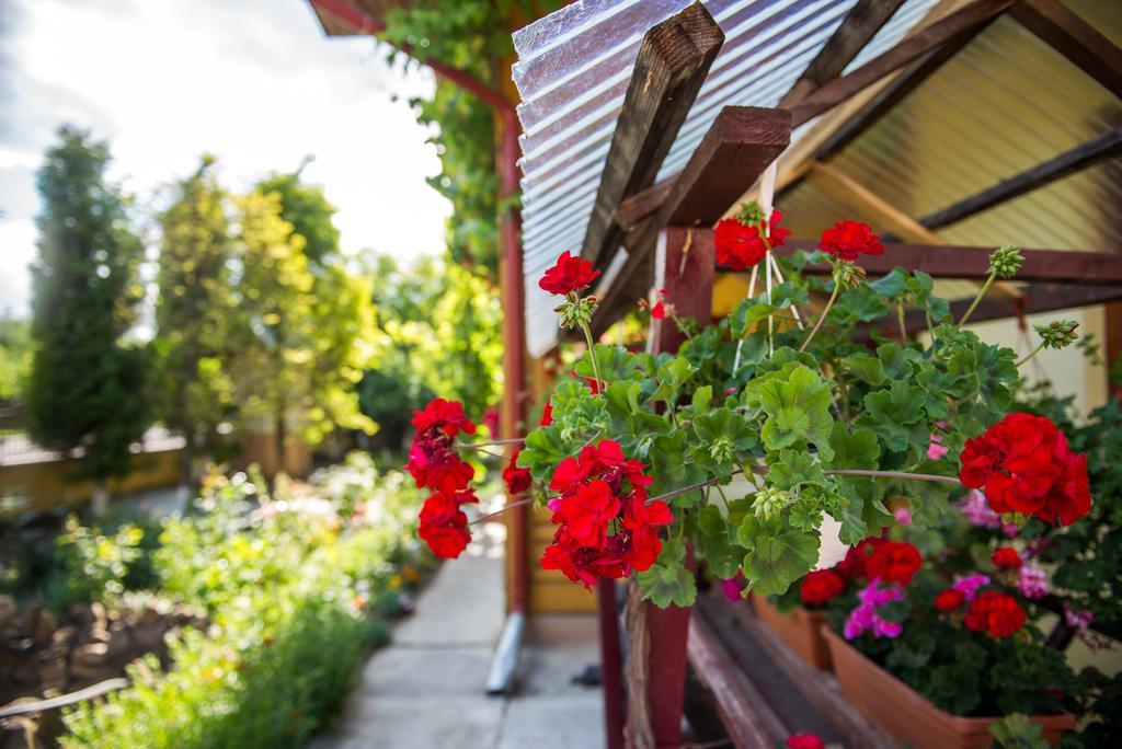 Casa Andreea Hotel Sucevita Exterior photo