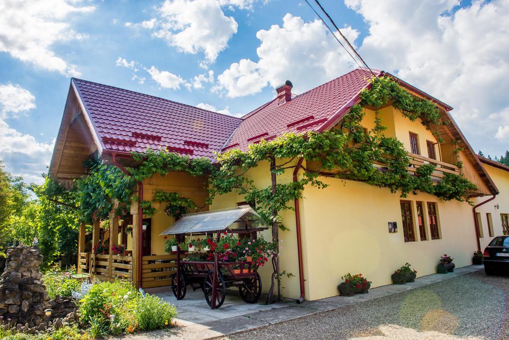 Casa Andreea Hotel Sucevita Exterior photo
